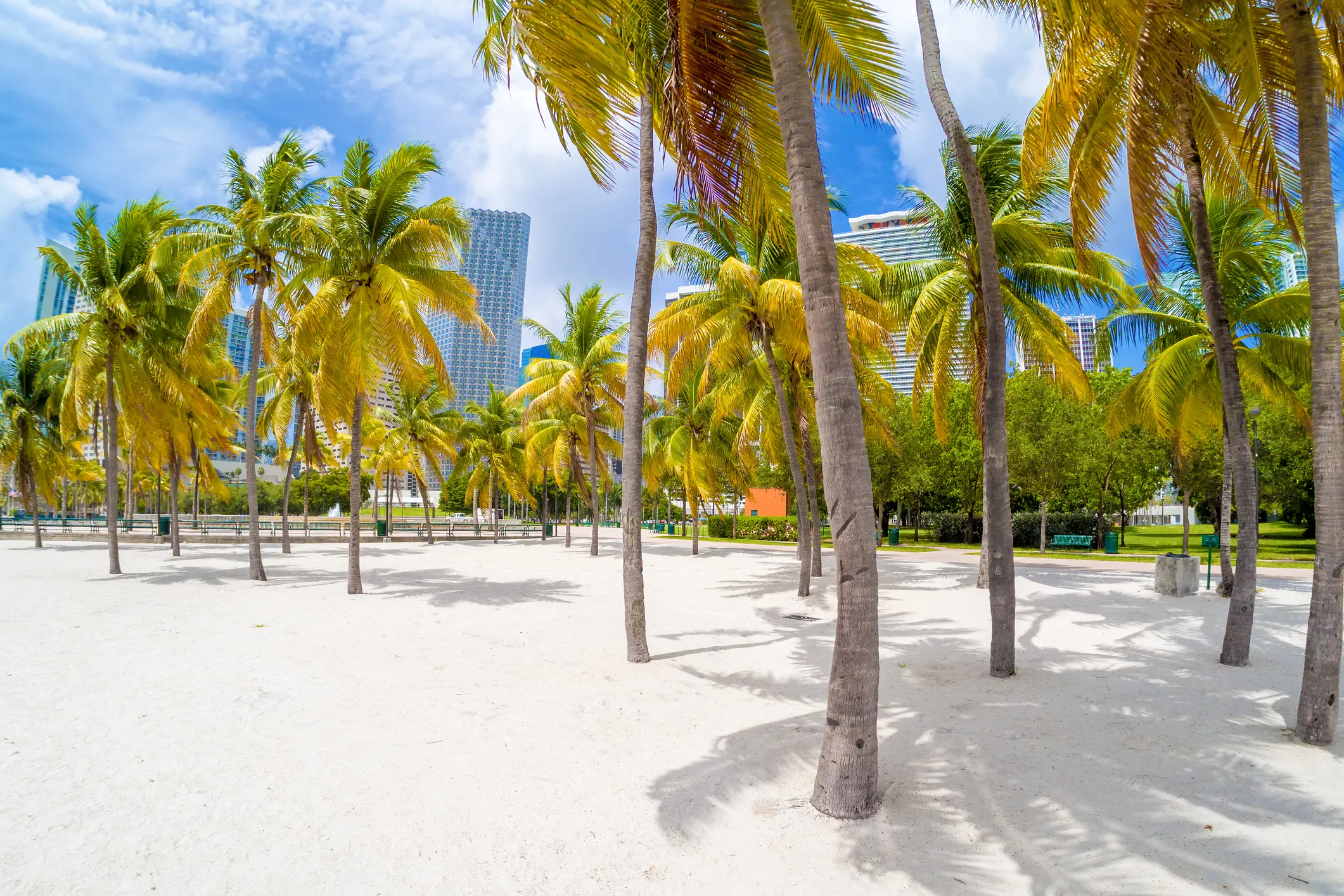 What It's Really Like to Live on the Beach: The Honest Truth