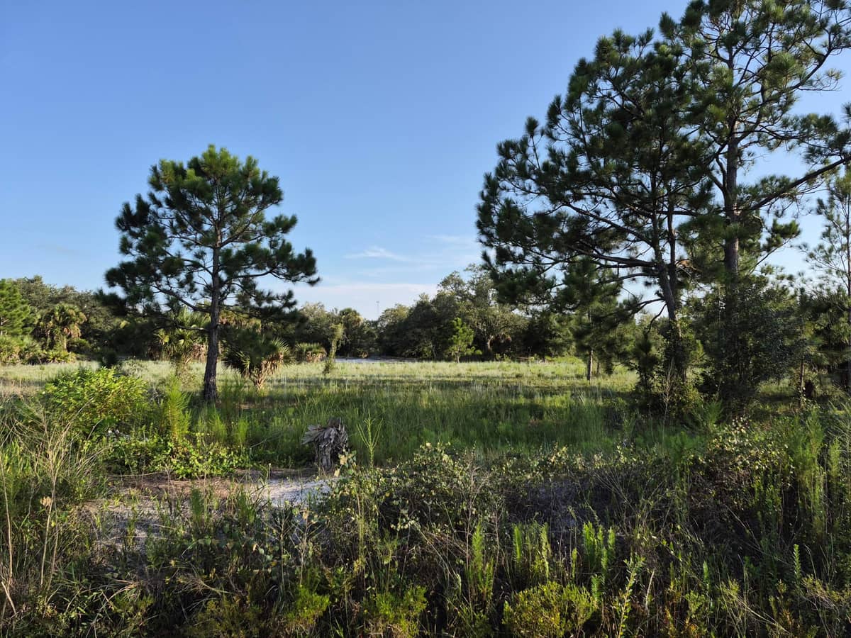 16810 292ND Street, Okeechobee